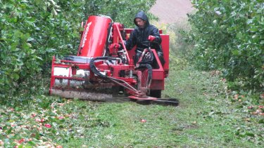 Cider apple harvester sweeping the apples up